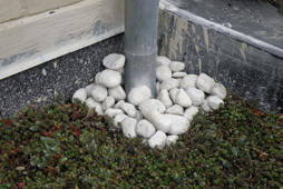 Etape de pose d'un toit vert Nidasedum