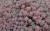 Sedum hispanicum