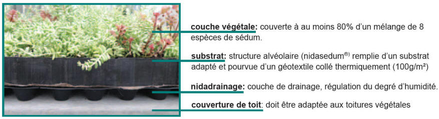 d�tail de coupe d'un toit vert