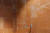 Marmocer rouge dalles carrelage interieur revetement mural rojo alicante marbre poli salle de bain