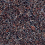 China Mahogany