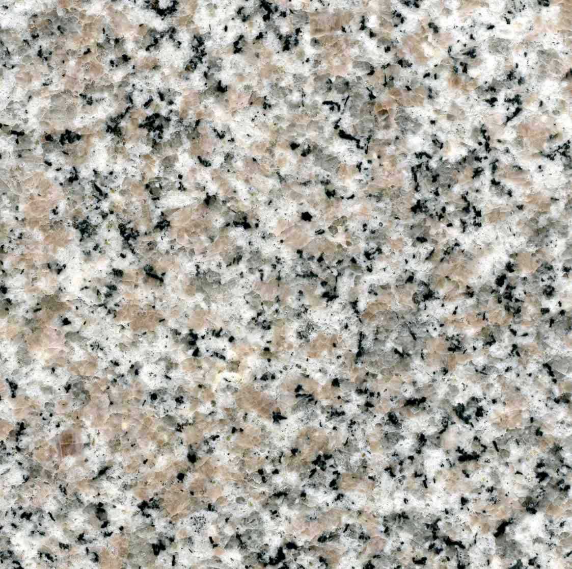 g636