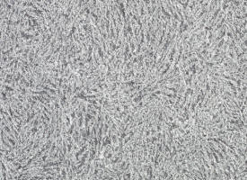 petit granite belge du hainaut givr